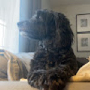 Meet your Posher, Colin